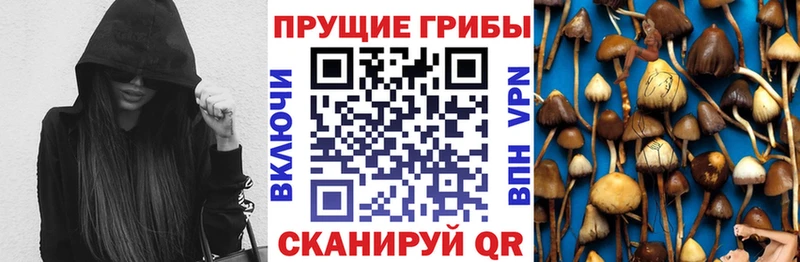 хочу наркоту  Томск  Галлюциногенные грибы ЛСД 