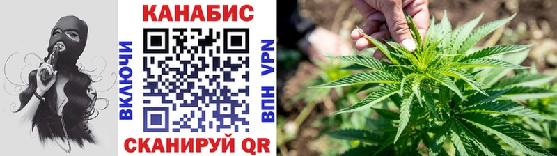 Бошки Шишки конопля  Томск 